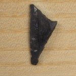 Útil geométrico. Sílex. Epipaleolítico. 6.750-7.450 a.E. Forcas II. (Graus, Huesca). NIG. 07404. © Foto Fernando Alvira. Museo de Huesca.